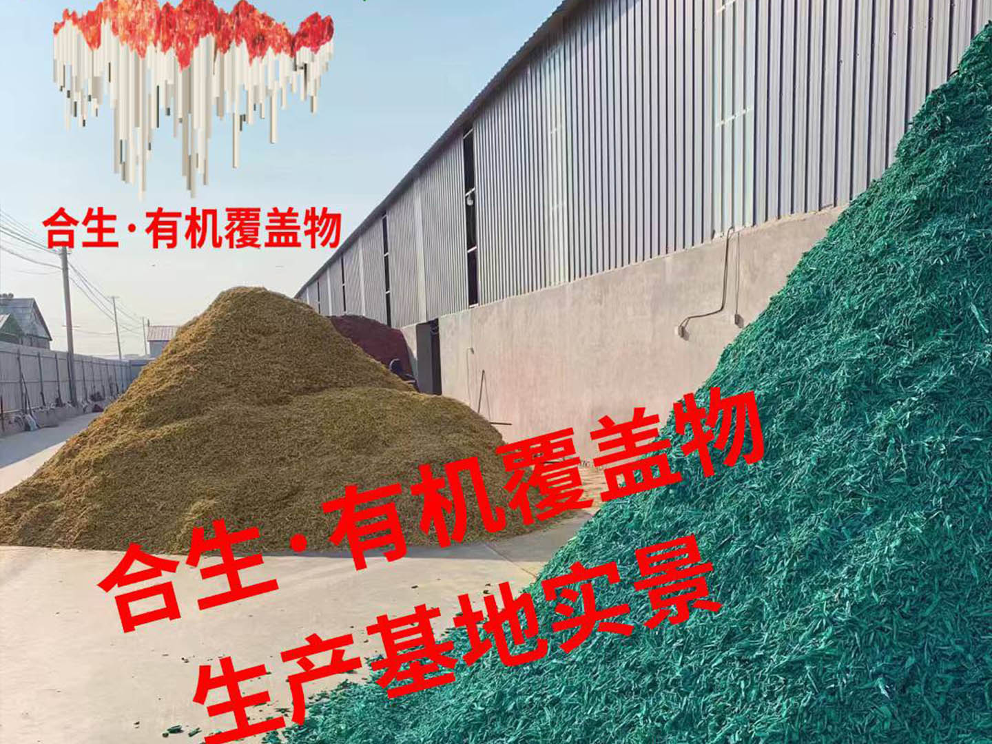 绿色