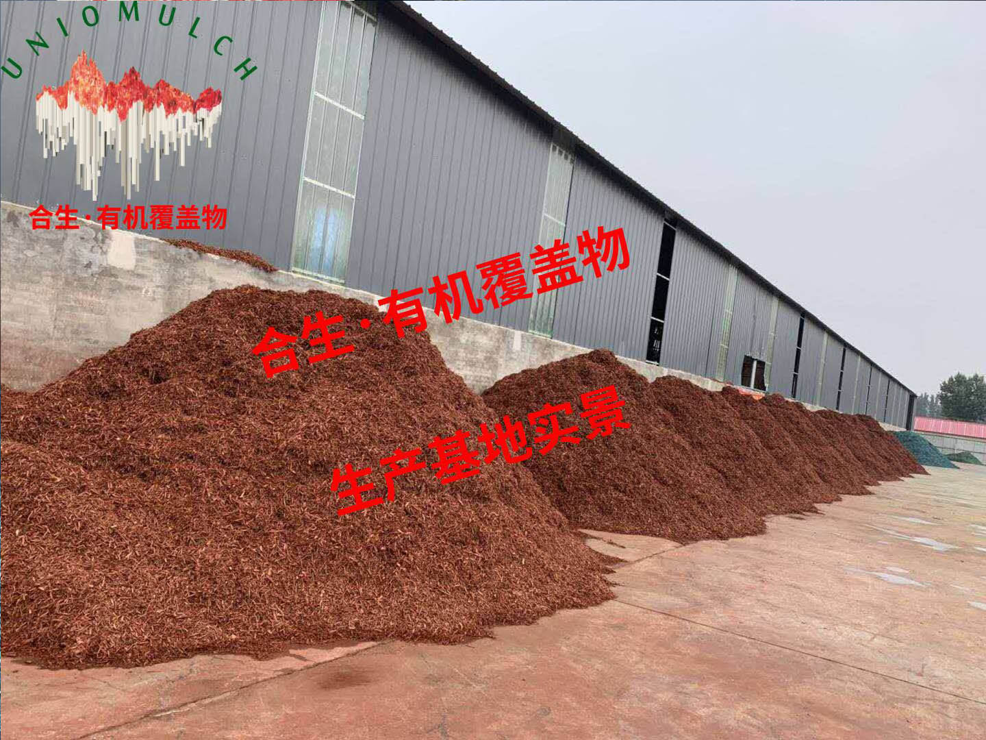 红色大堆