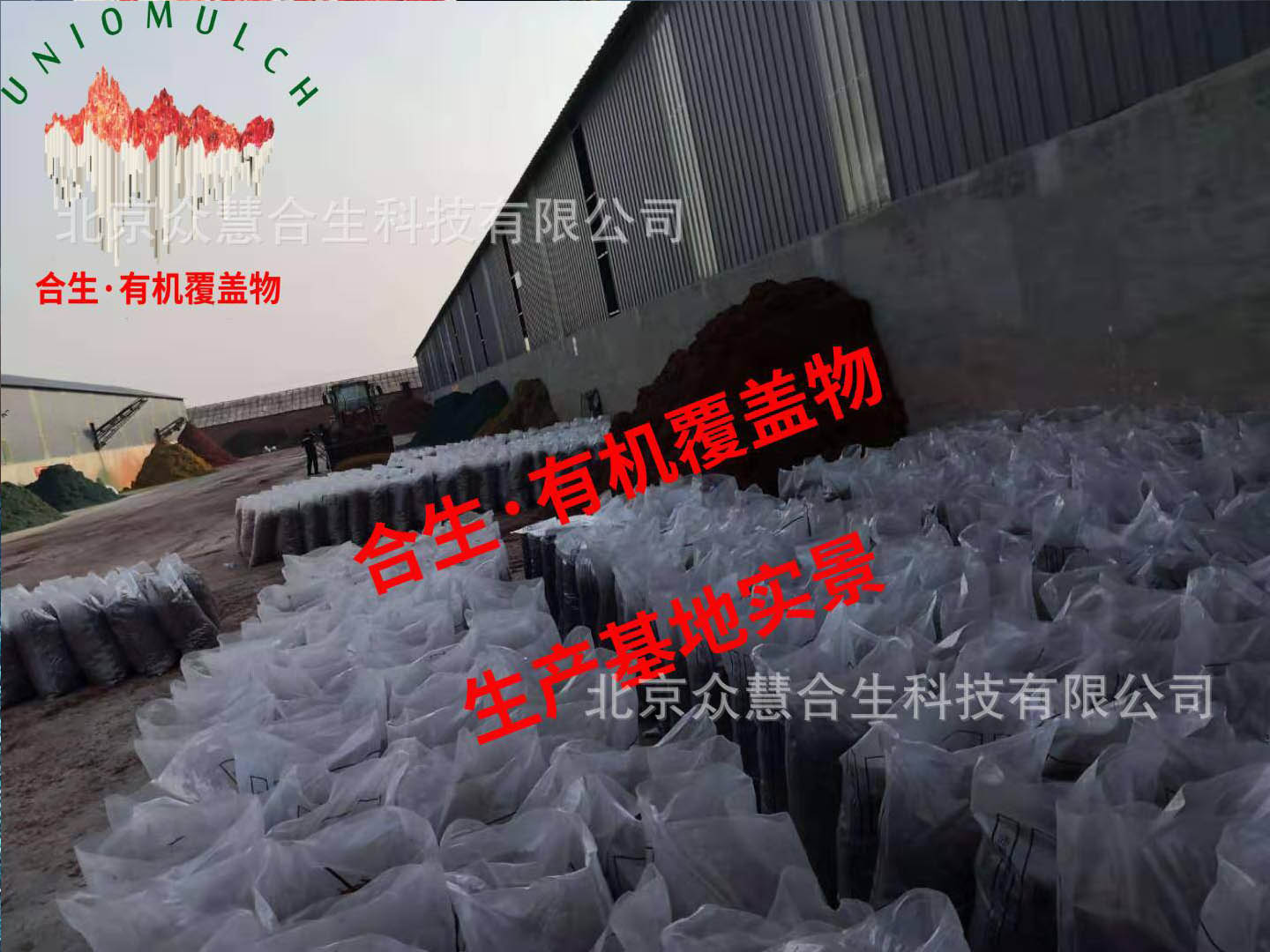 厂区.装袋