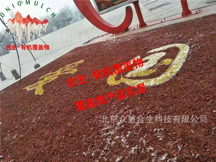 公园大图.爱国