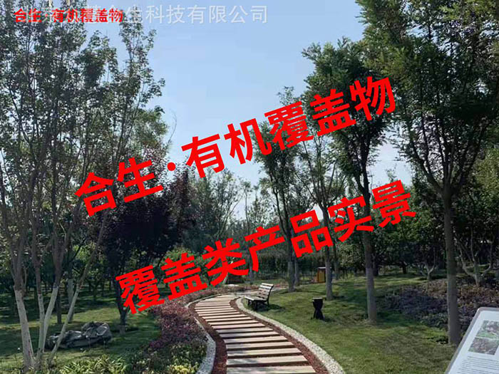 小路（棕红）