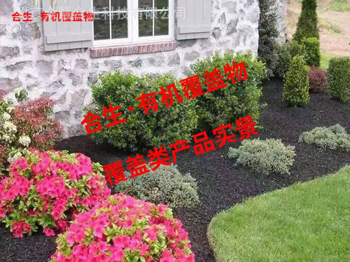 别墅（黑）
