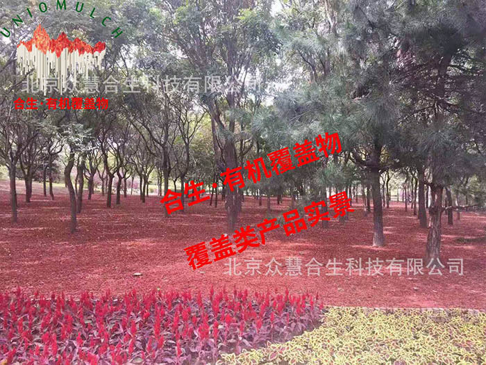 公园大图2