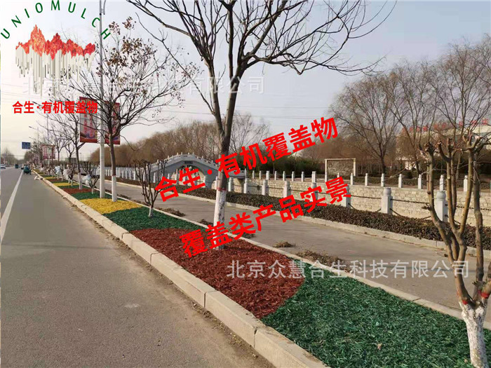绿化带12