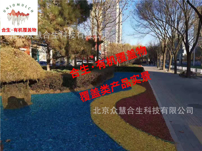 绿化带