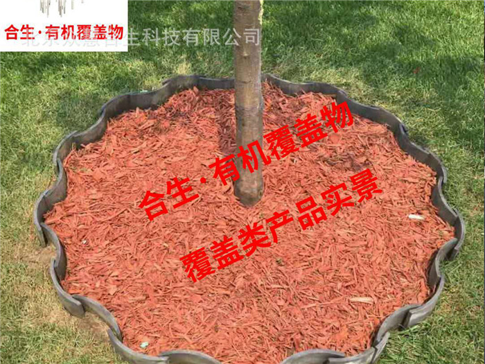 圆树池.棕红