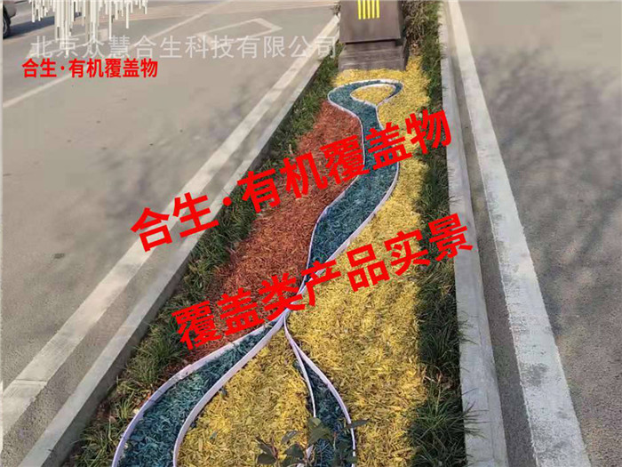 绿化带