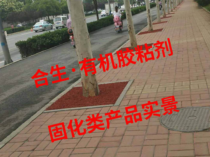 胶粘剂实景