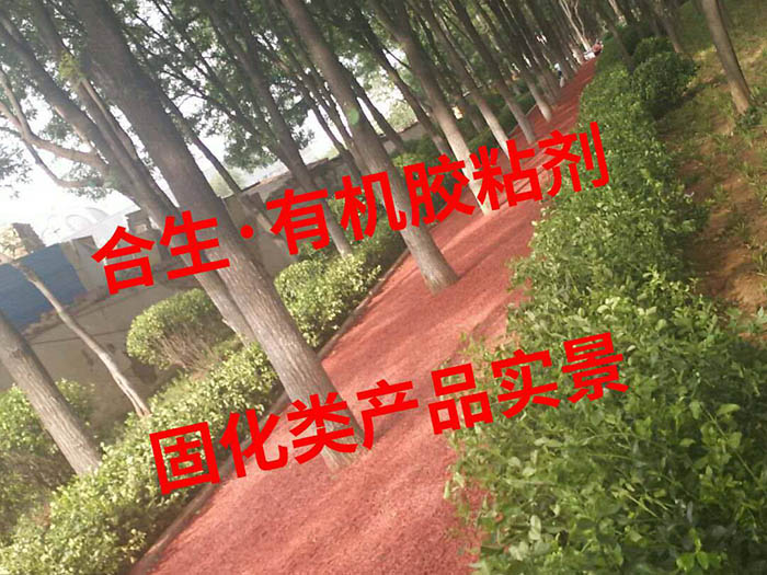 胶粘剂实景