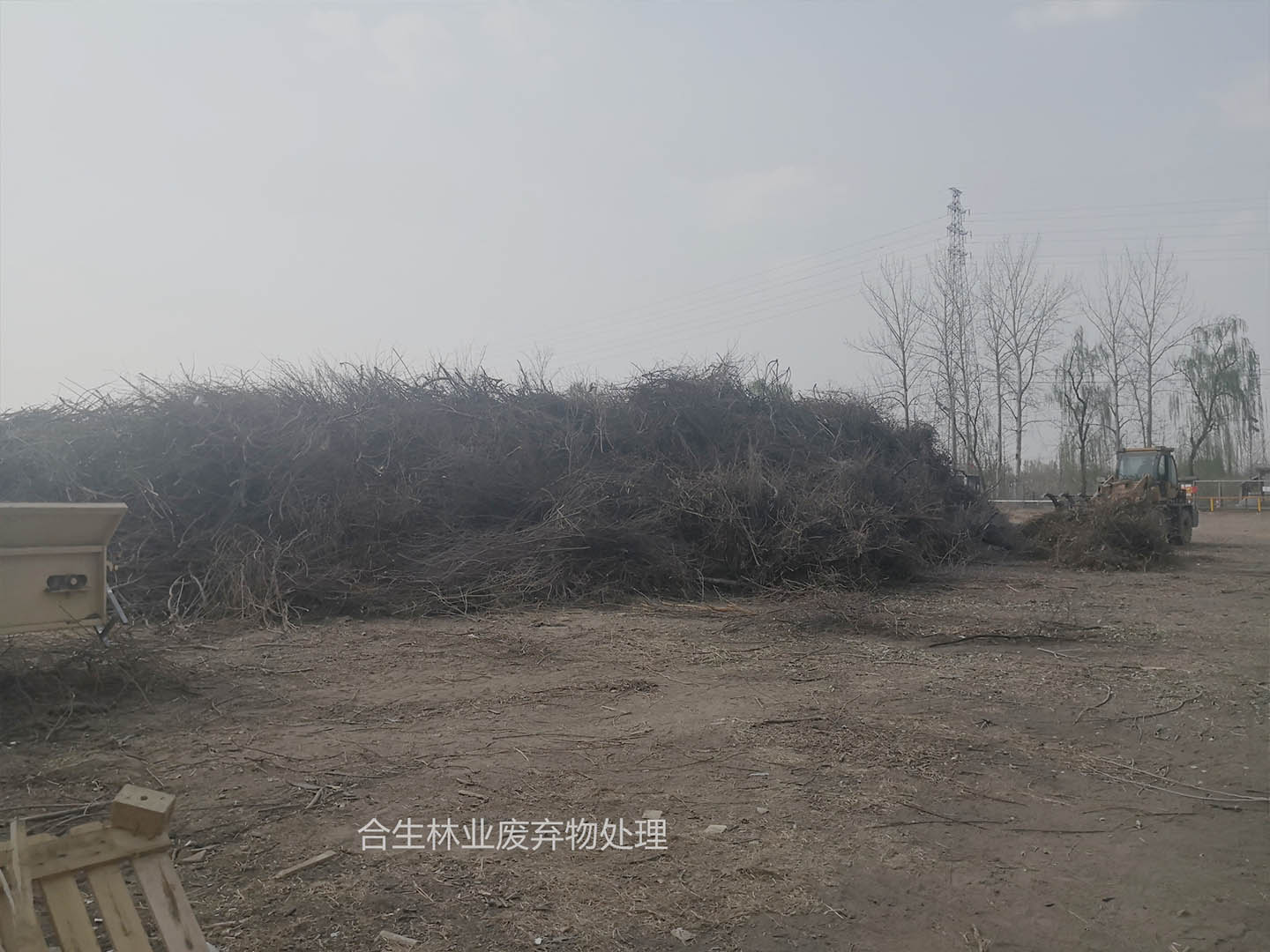 林废处理服务