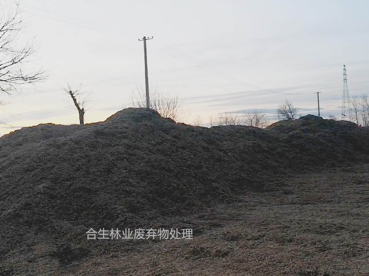 林废处理服务